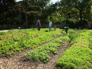 p.5Garden-Picture_Workers