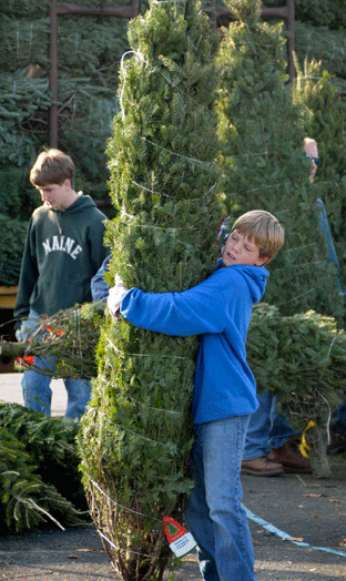 COVERoptionA12-03-09