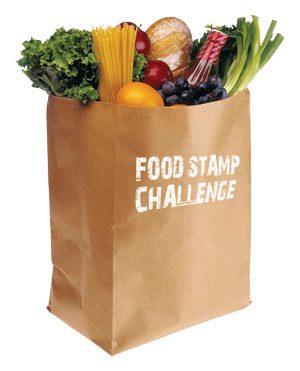 foodstampbag