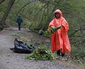 Alverno College students take part in Community Day, April 25, where students, faculty and staff are encouraged to volunteer at one of dozens of sites organized by the school. A student volunteers at the Urban Ecology Center. (Submitted photo by Blue Moon Studios)