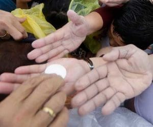Pilgrims reach to receive Communion as Pope Francis celebrates Mass Jan. 18 in Manila, Philippines. In “Amoris Laetitia” (“The Joy of Love”) Pope Francis discussed ways to reach out to divorced and civilly remarried Catholics. (CNS photo/Francis Maalasig, EPA)
