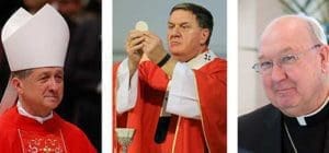 Cardinals-designate Blase J. Cupich of Chicago, Joseph W. Tobin of Indianapolis and Kevin J. Farrell, prefect of the new Vatican office for laity, family and life, are the three new U.S. cardinals named by Pope Francis Oct. 9. (CNS photos/ Paul Haring; Bob Nichols, Catholic Moment; Tyler Orsburn)