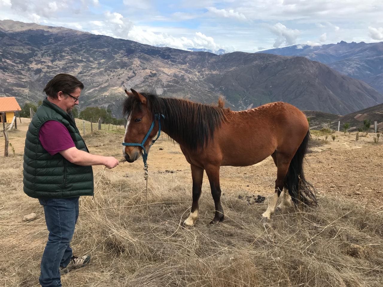 99d305d8-9791-4e92-b32a-069a46685eaa