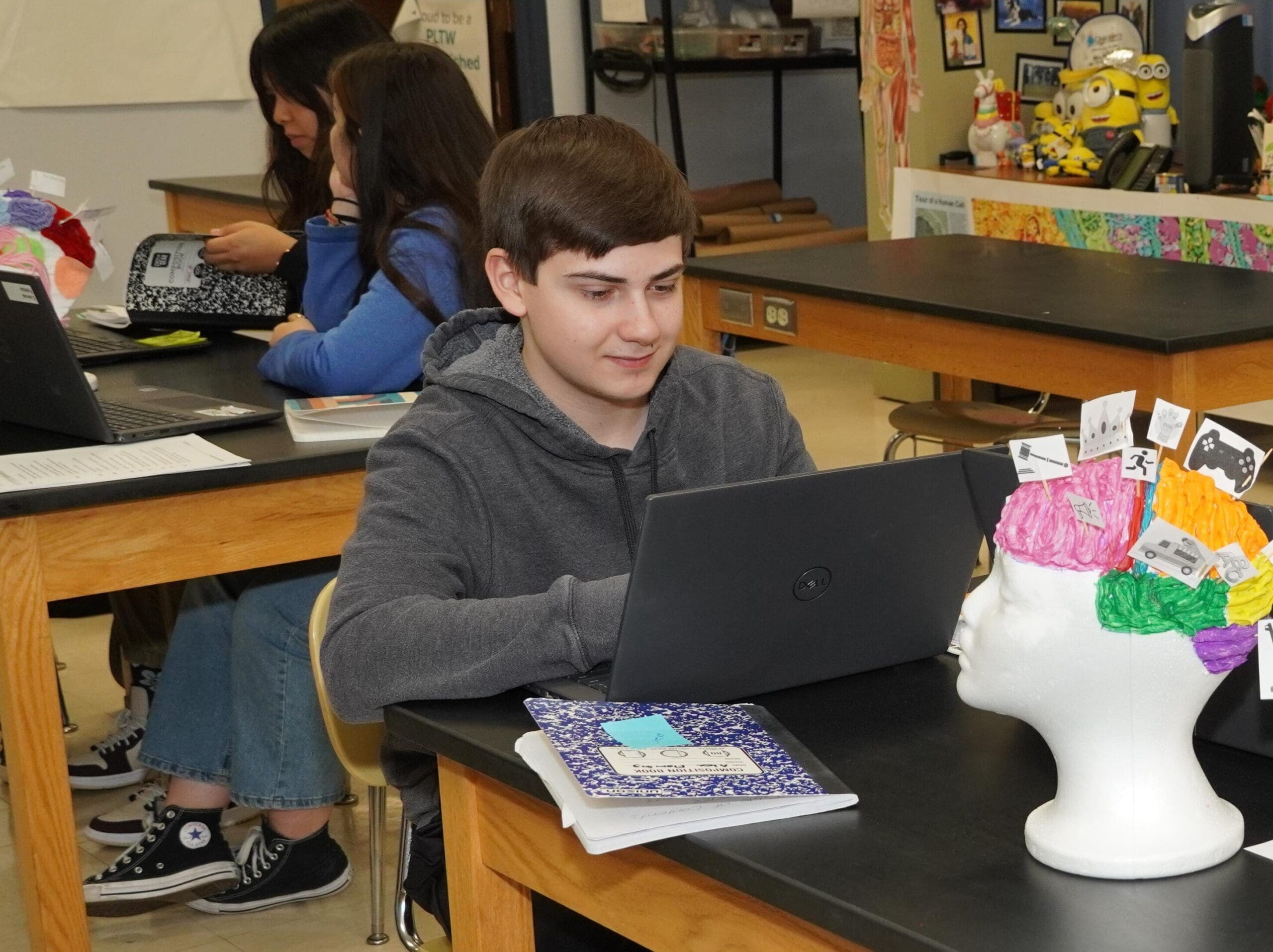 brain diagram banner-cropped