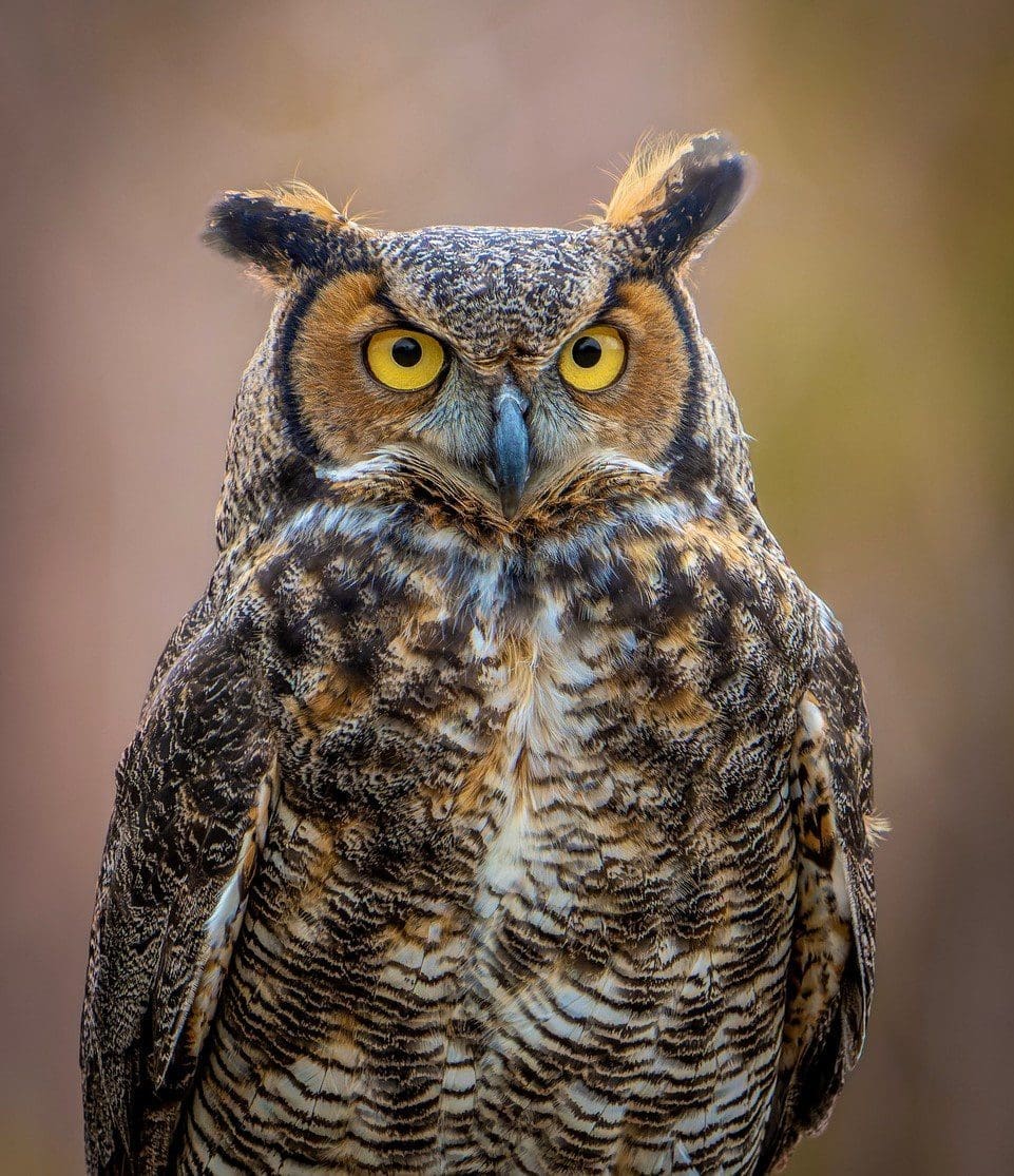 DSC04948-ARW_DxO_DeepPRIME-2