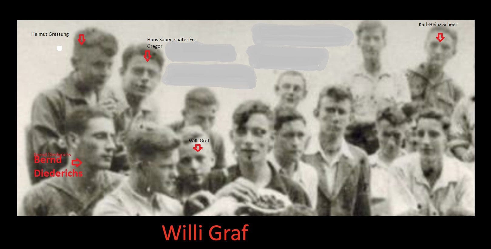 Graf, Gressung, Scheer. (Email of February 25, 2020)