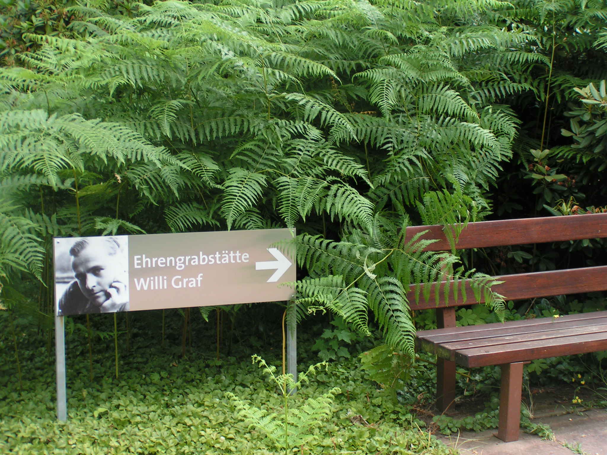 MINOLTA DIGITAL CAMERA